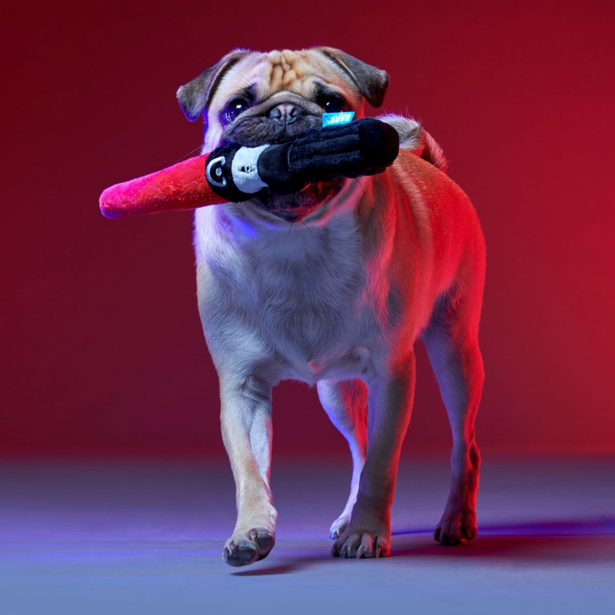 Chews Your Destiny Plush Multi-Part + Tug Dog Toy