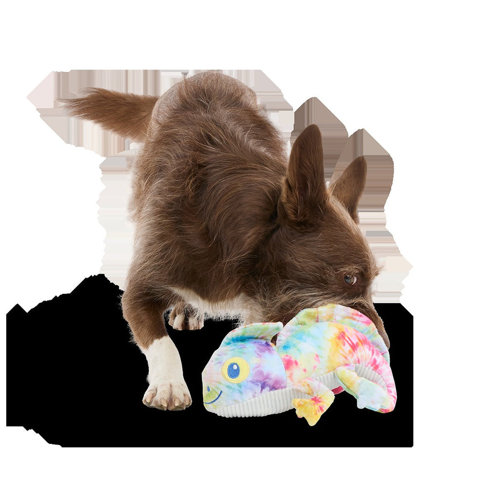 The Lizard King Plush Tug Dog Toy