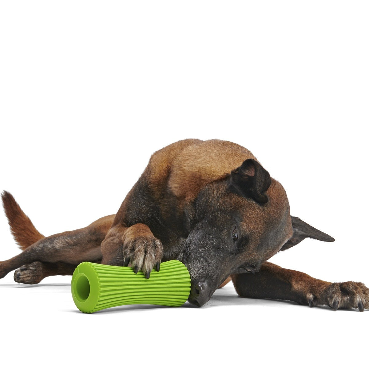 Celery Super Chewer Durable Fetch + Enrichment Dog Toy
