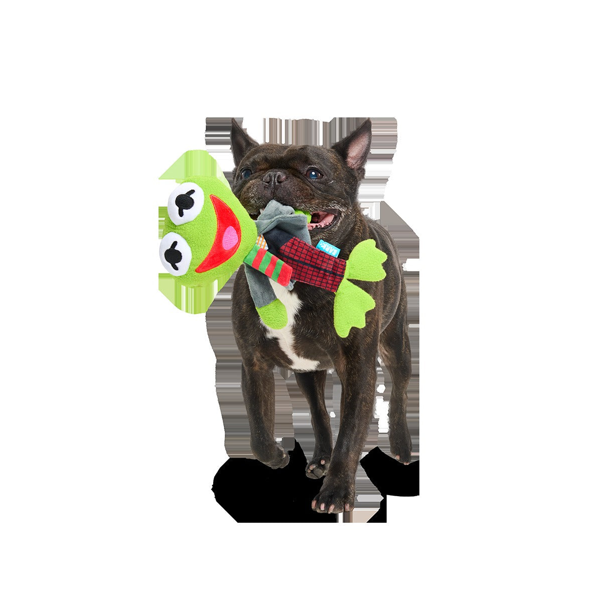 Kermit the Frog as “Bob Catch-It" Plush Tug Dog Toy