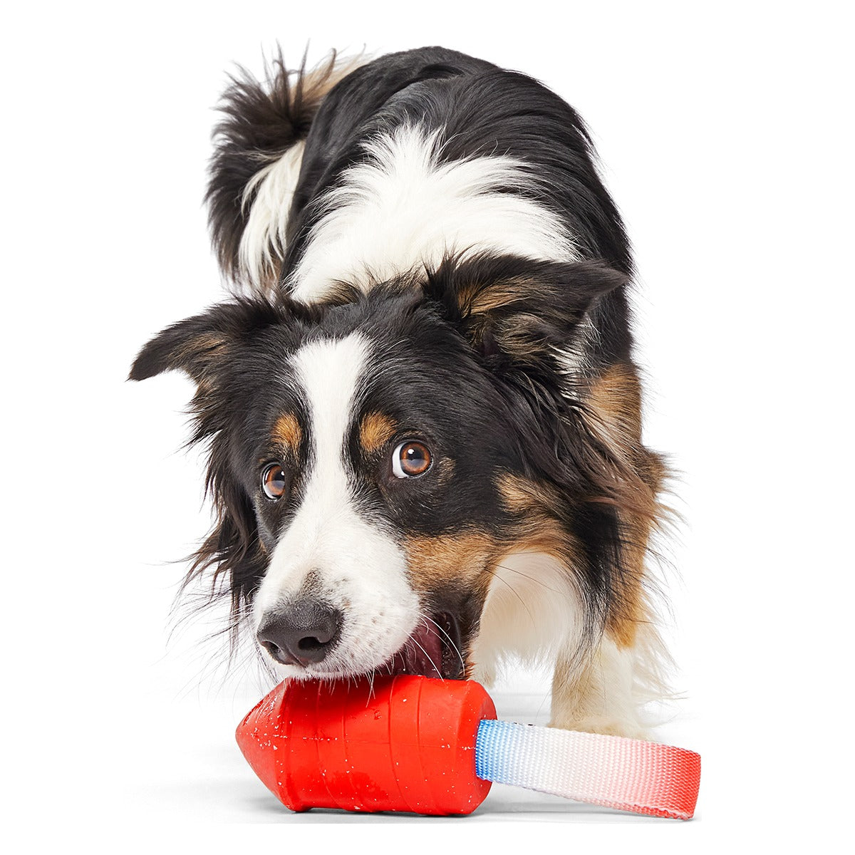 Throwman Candle Super Chewer Durable Tug Dog Toy