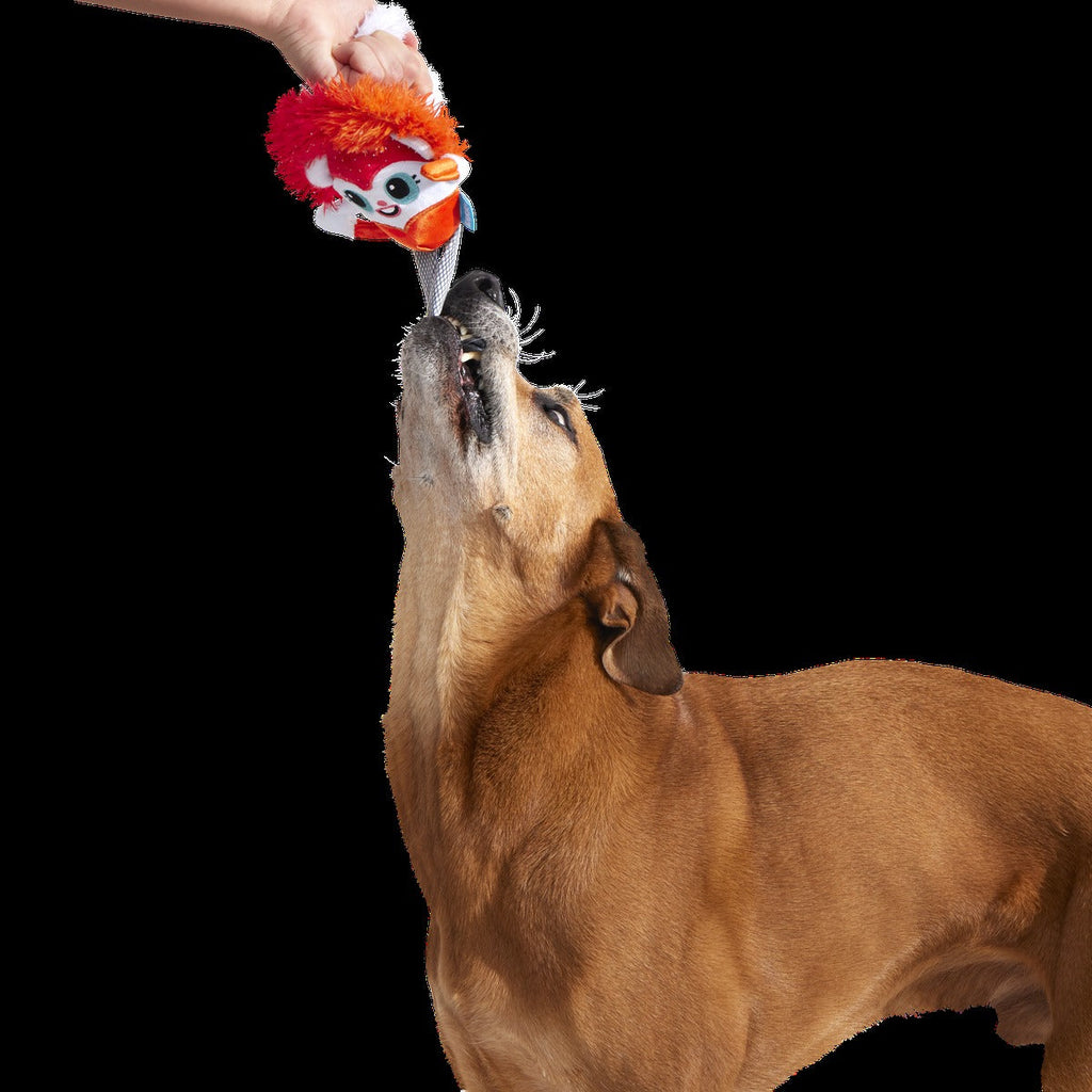 Showsquirrel Plush Tug Dog Toy