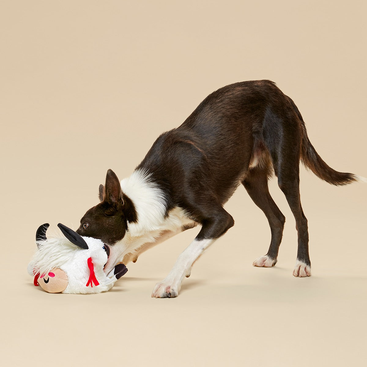 Yeshe the Yak Plush Extra-Large + Tug Dog Toy
