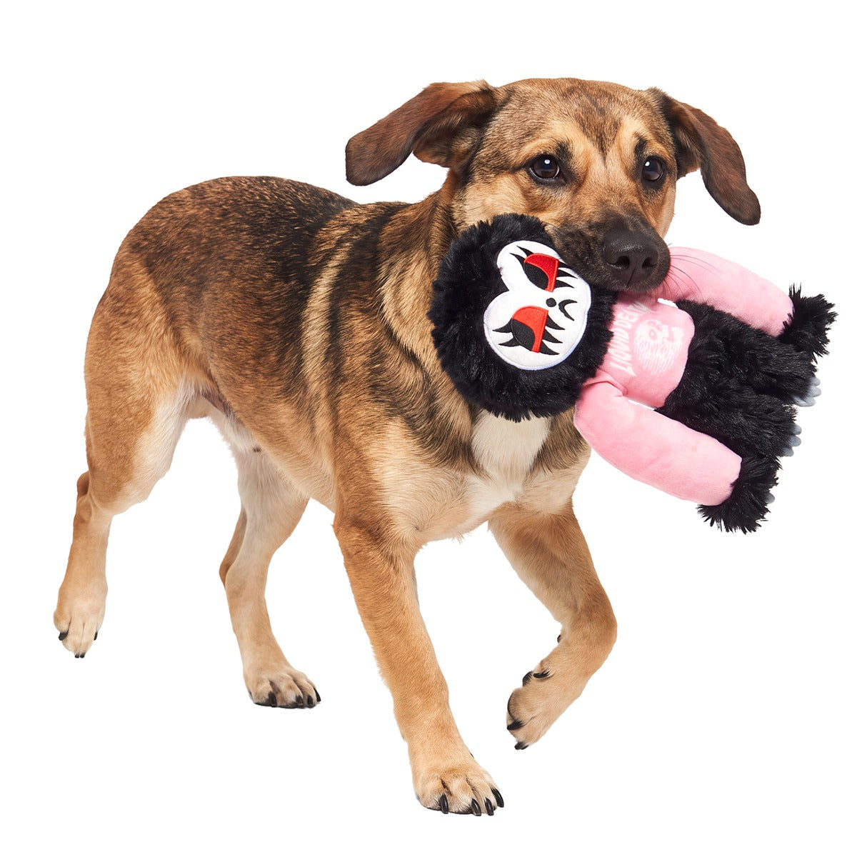 Goth Sloth Plush Tug Dog Toy