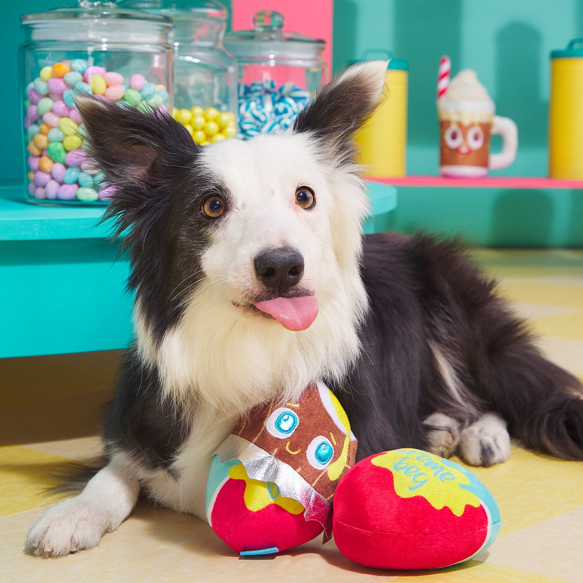Cadfurry Eggs Plush Multi-Part + Fetch Dog Toy