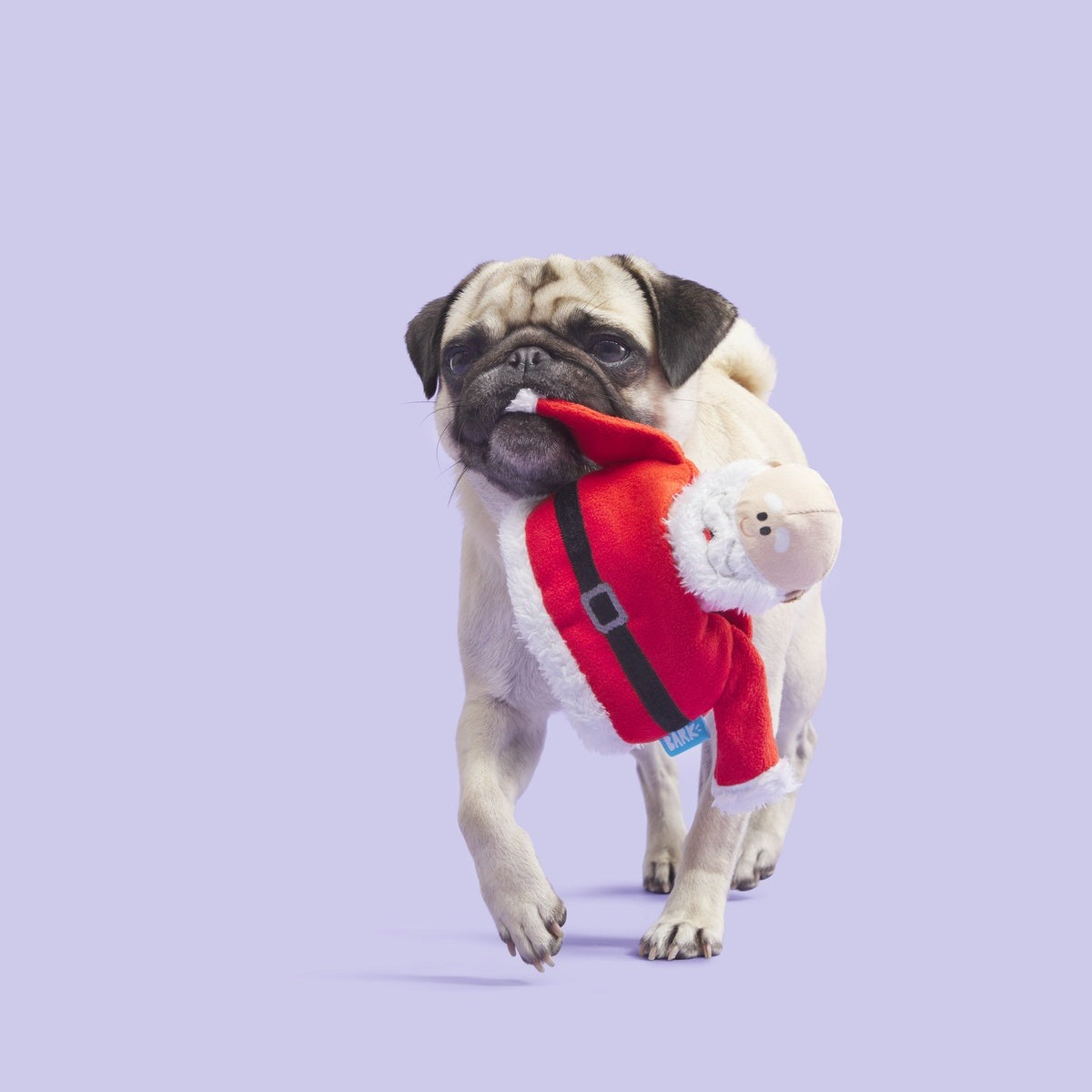 Rudolph® Holiday Gift BarkBox