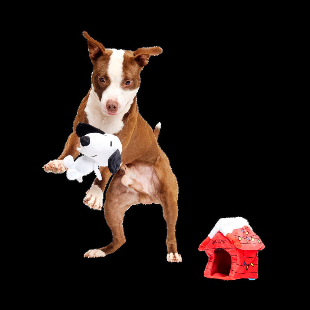 Doghouse Snoopy Plush Multi-Part Dog Toy