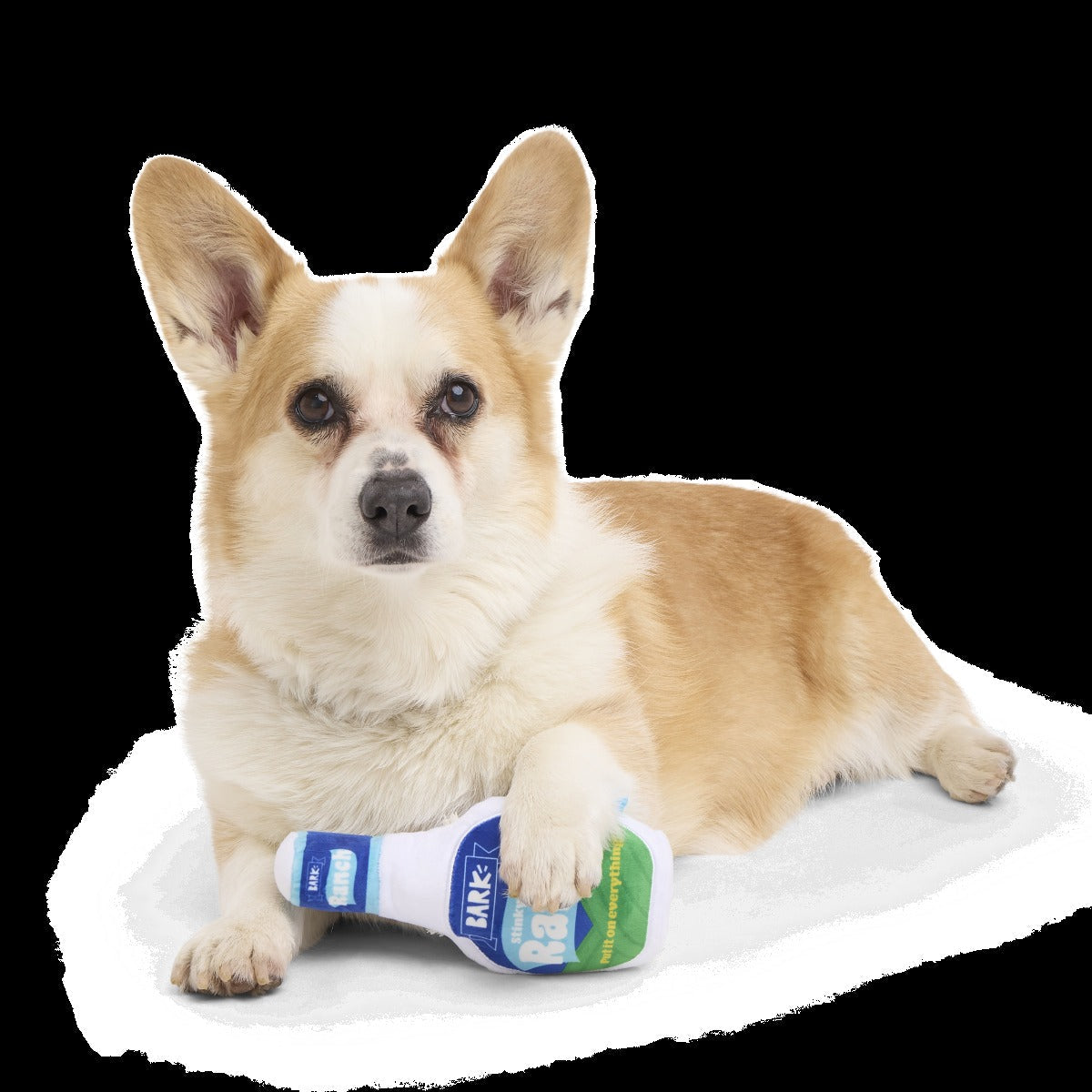 Stinky Valley Ranch Plush Tug Dog Toy