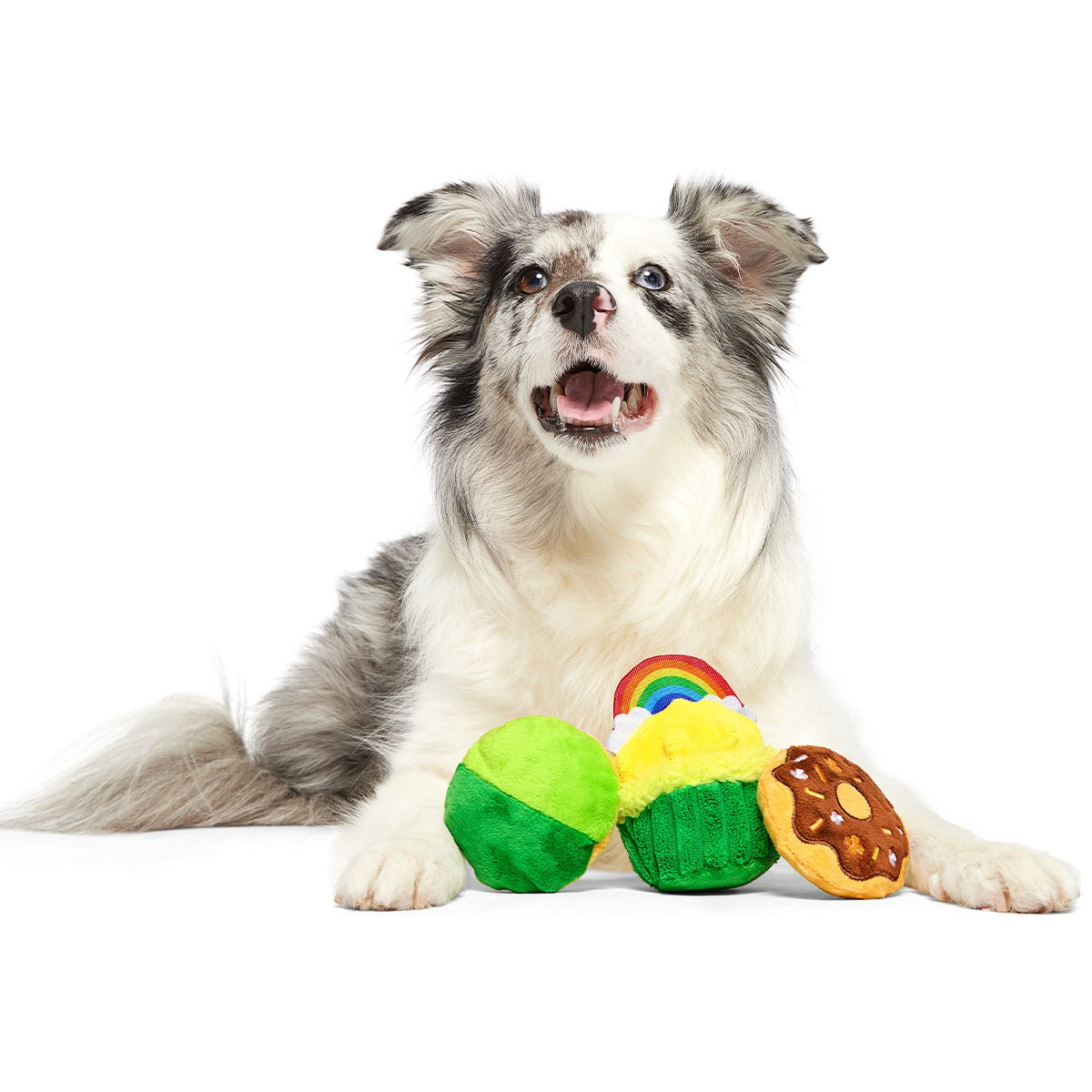 Patty Cakes Plush Multi-Part Dog Toy