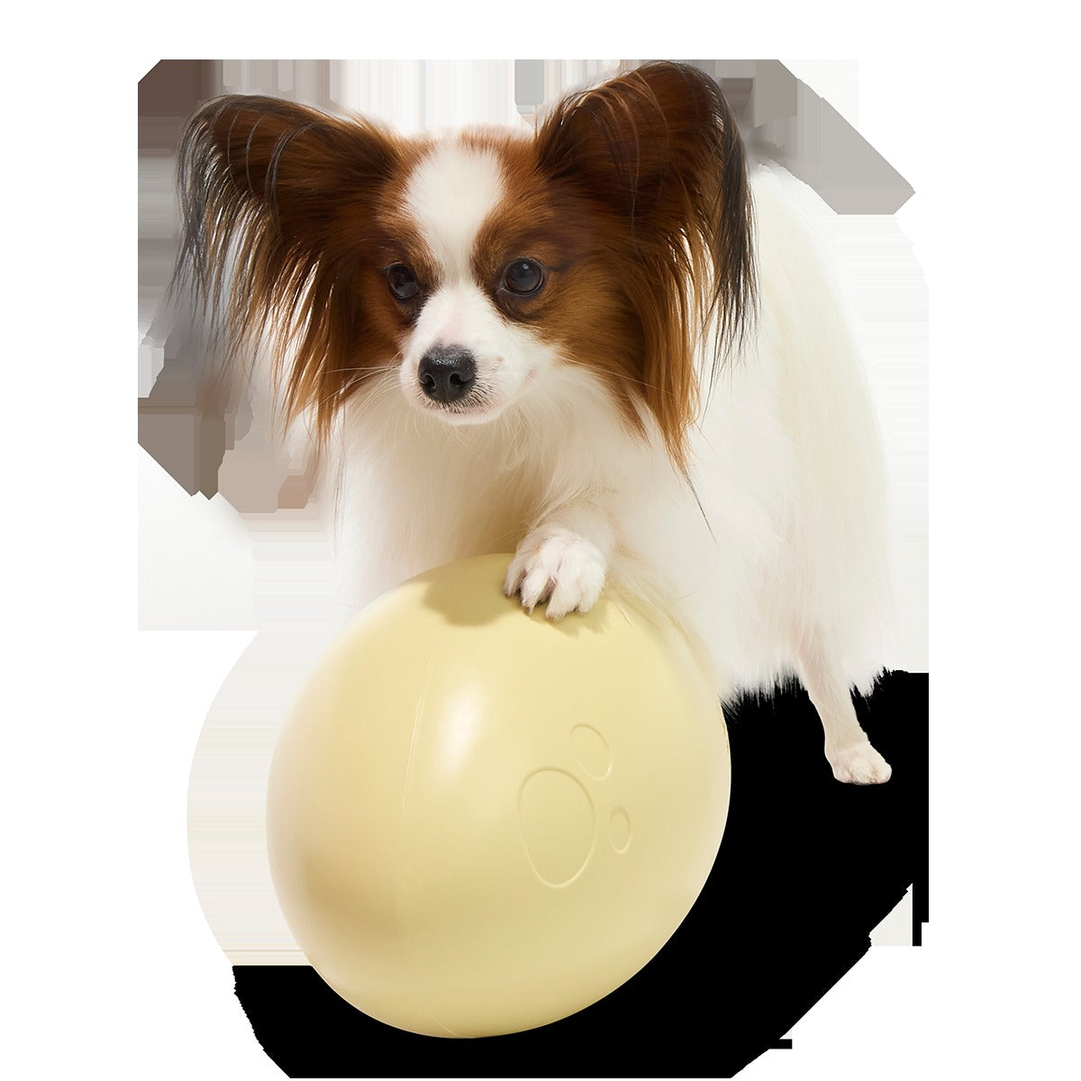 Dinosaur Egg Super Chewer Durable Extra-Large + Fetch Dog Toy