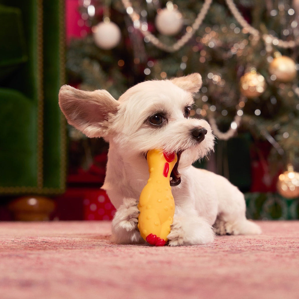Fozziwig Factory Prop Chicken Durable Super Chewer Gnaw Dog Toy