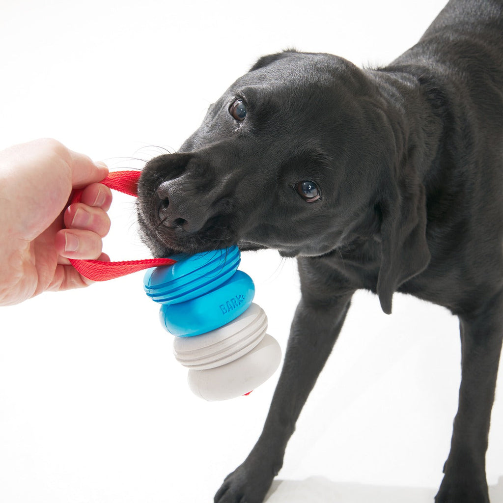 Swimming Pull Super Chewer Durable Tug Dog Toy