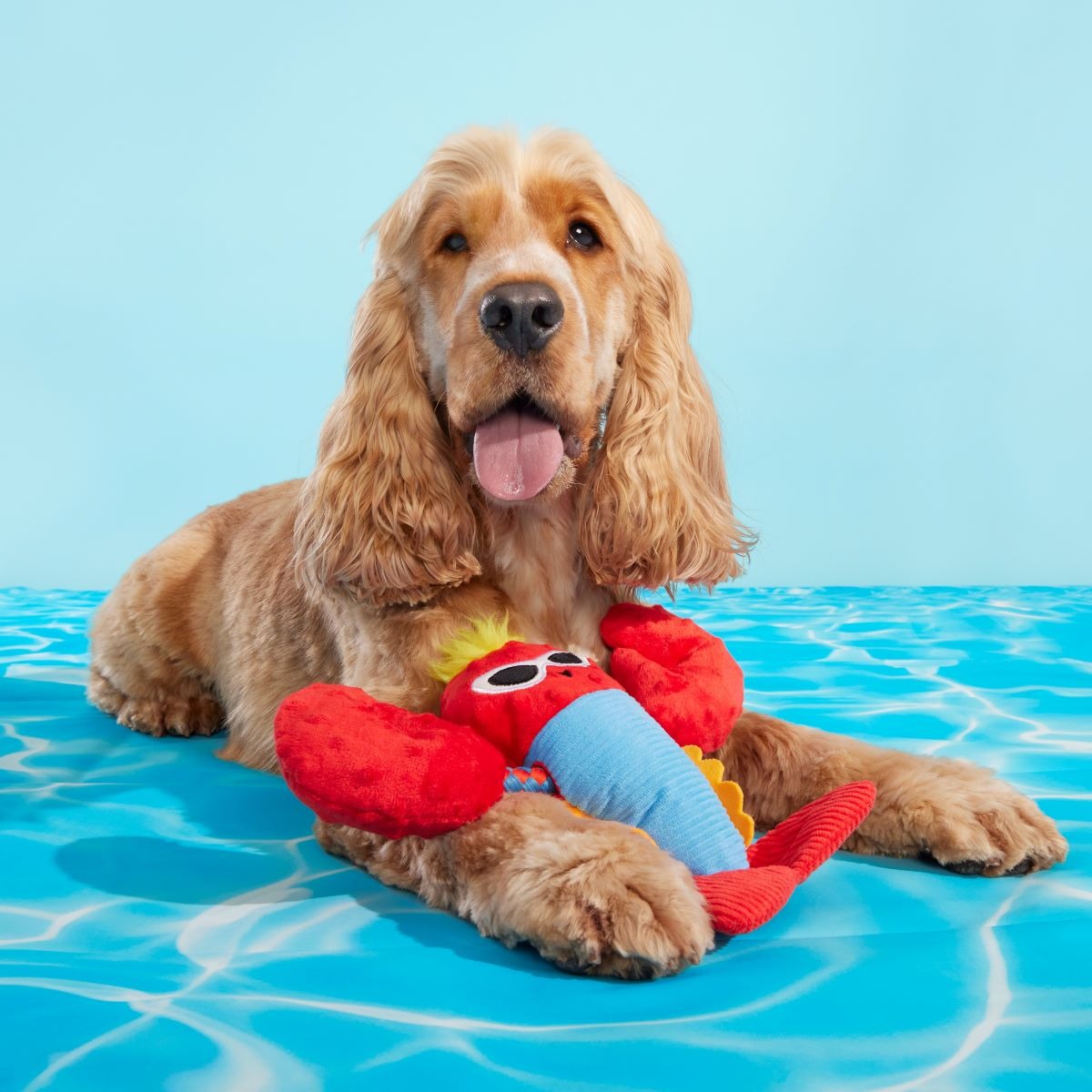 Brock Lobster Plush Tug Dog Toy