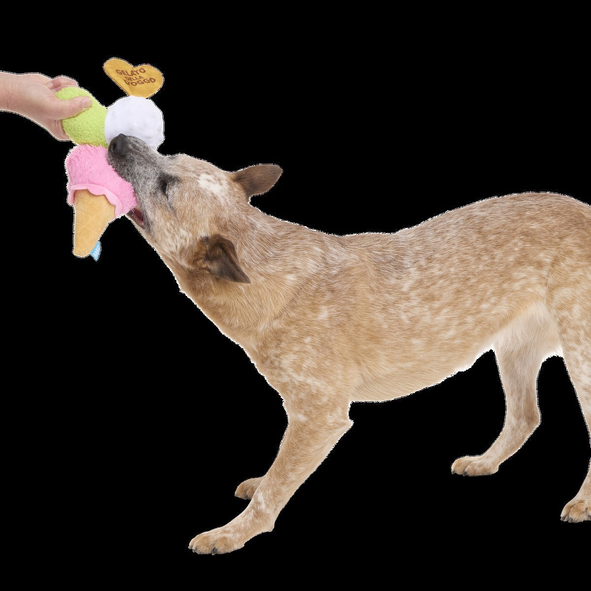 D'oggo Gelato Plush Tug Dog Toy