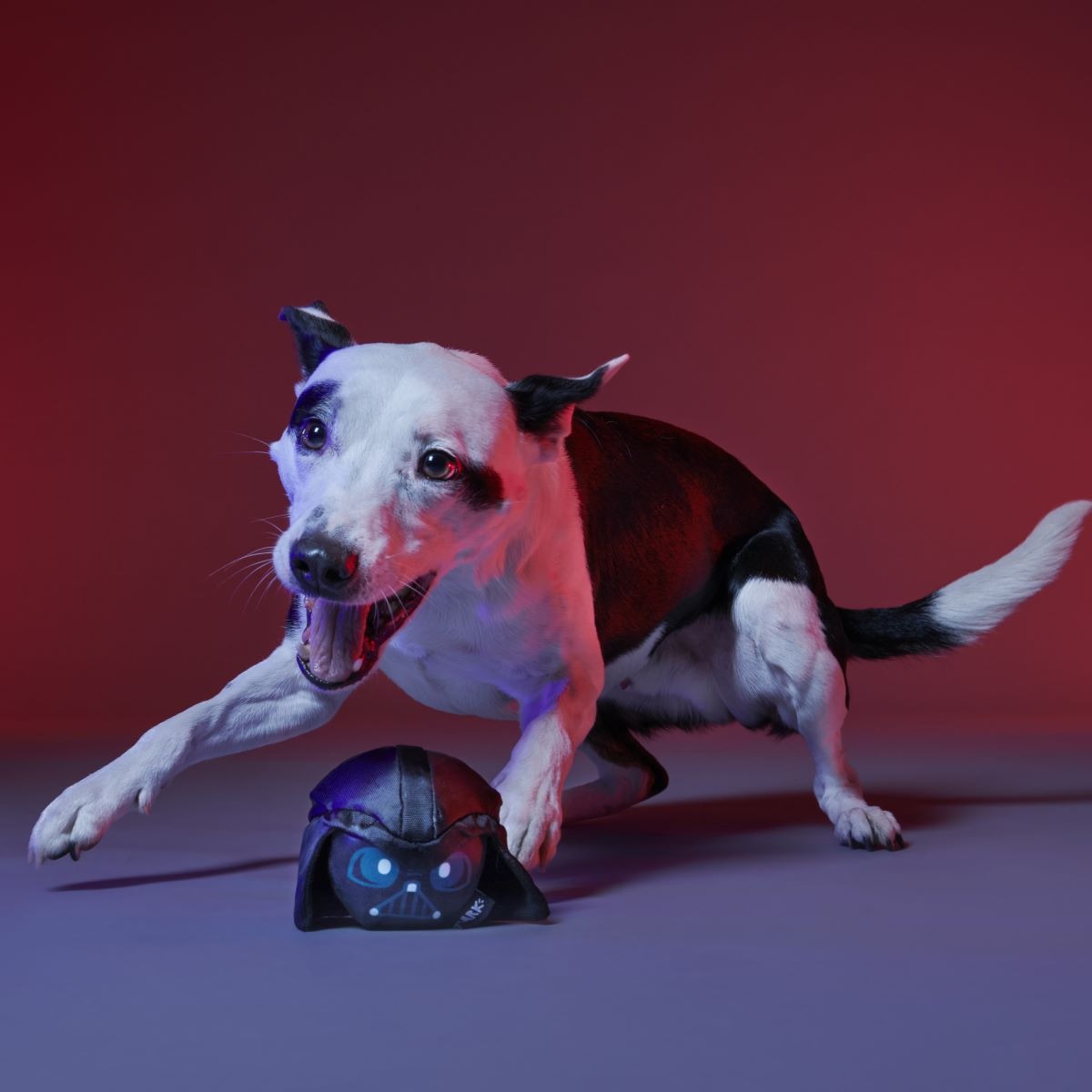 Power of the Bark Side Super Chewer Durable 2-in-1 + Fetch Dog Toy