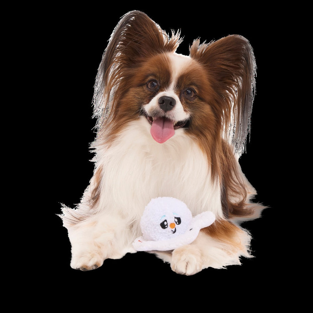 Slushy The Snowman Durable Super Chewer 2-in-1 Rip and Reveal Dog Toy