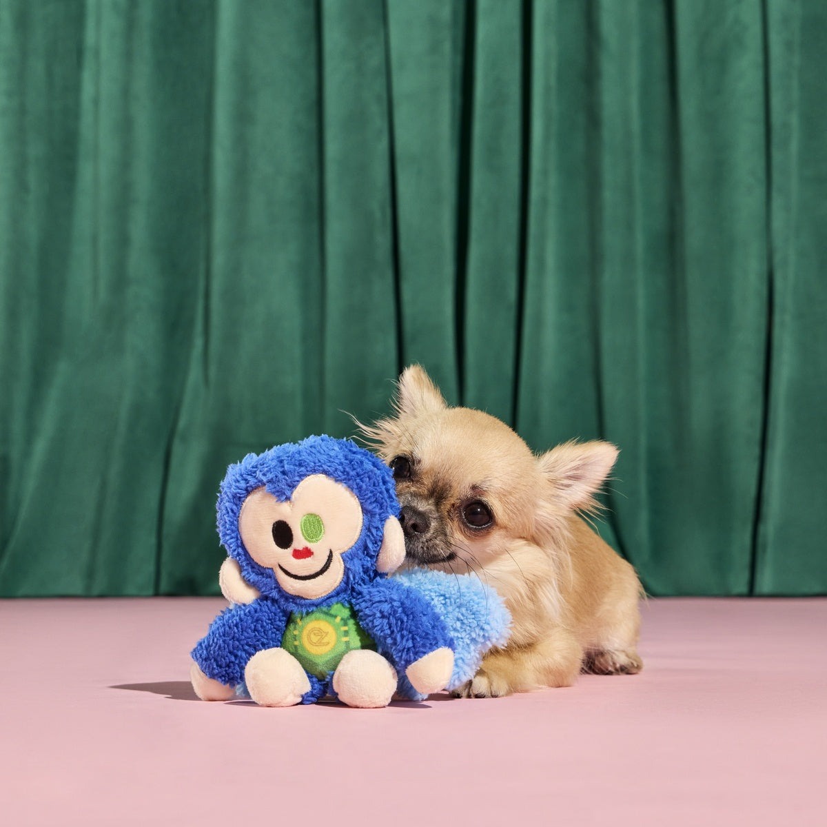 Defying Gravity Chistery Plush Tug Dog Toy