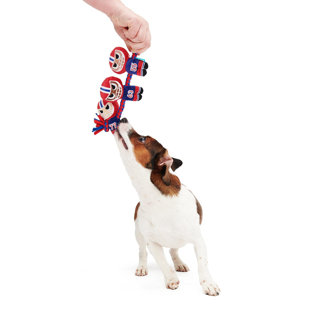 Linebarkers Plush Tug Dog Toy