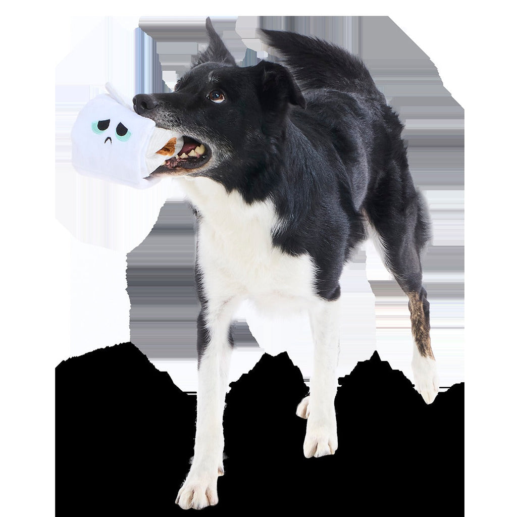 Shred Head Fred Plush Enrichment + Tug Dog Toy