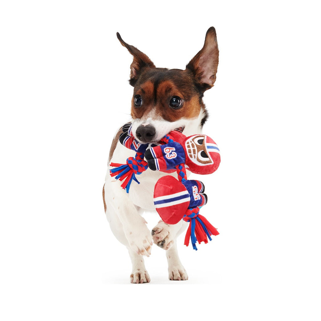 Linebarkers Plush Tug Dog Toy