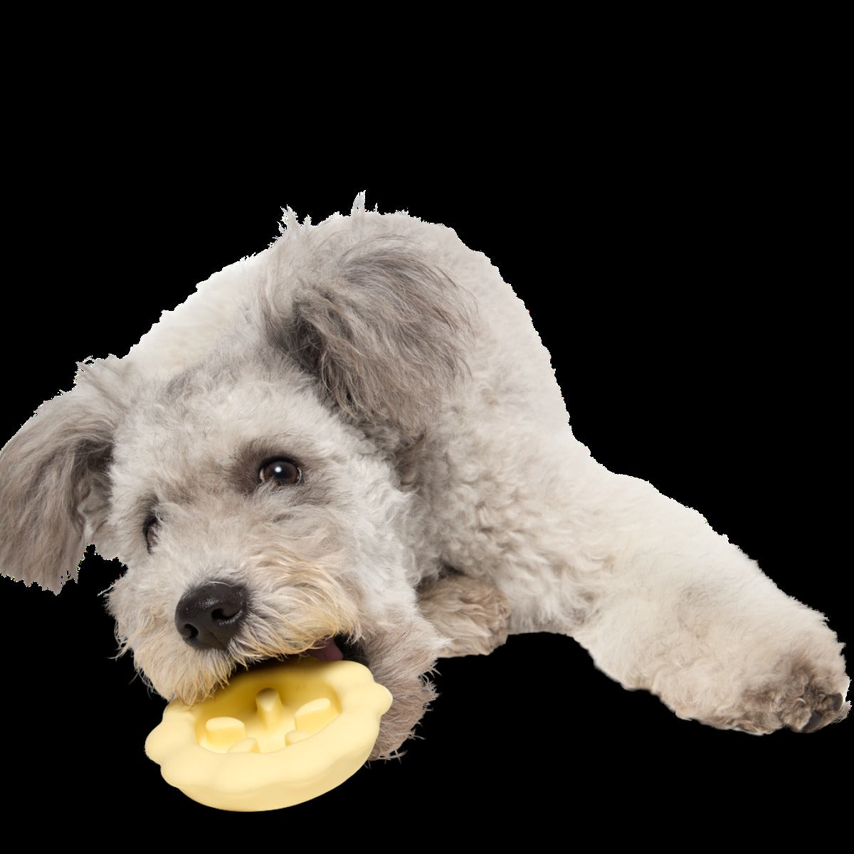 Plump Pumpkin Pie Durable Super Chewer Enrichment Dog Toy