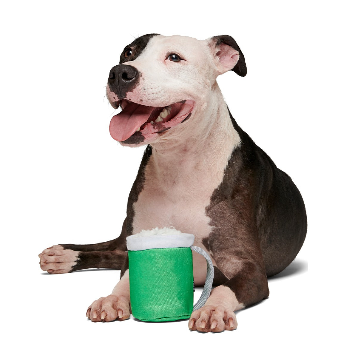 Erin Go Brew Super Chewer Durable 2-in-1 + Tug Dog Toy
