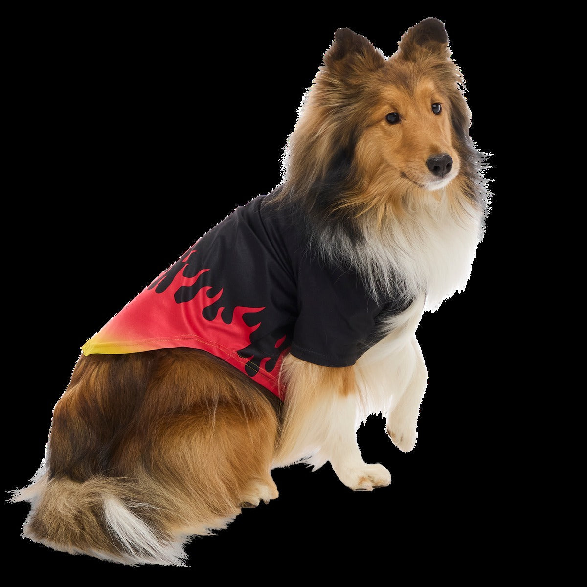 Flame Broiled Button-Down Dog Shirt