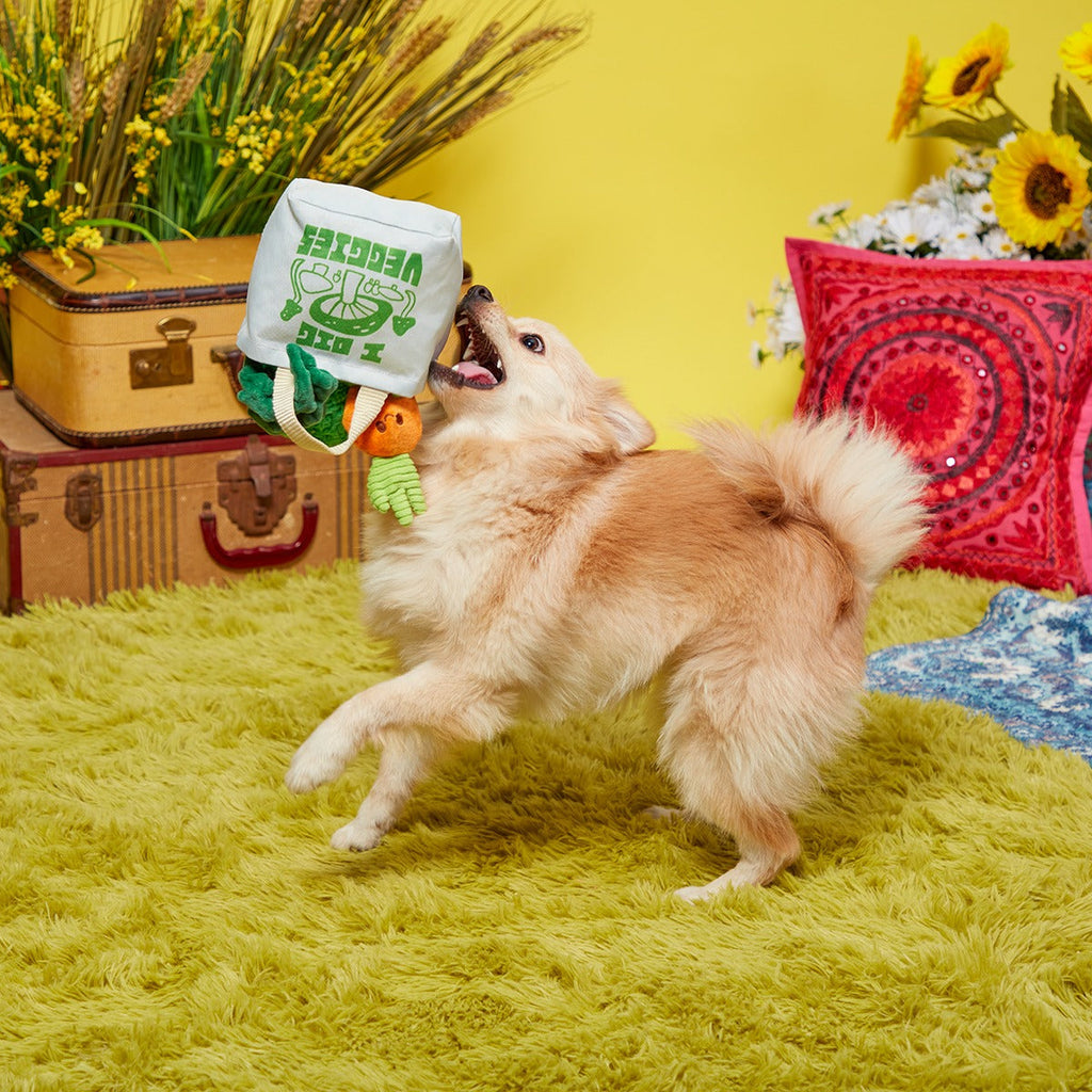 Dig These Veggies Plush Tug + Enrichment Dog Toy