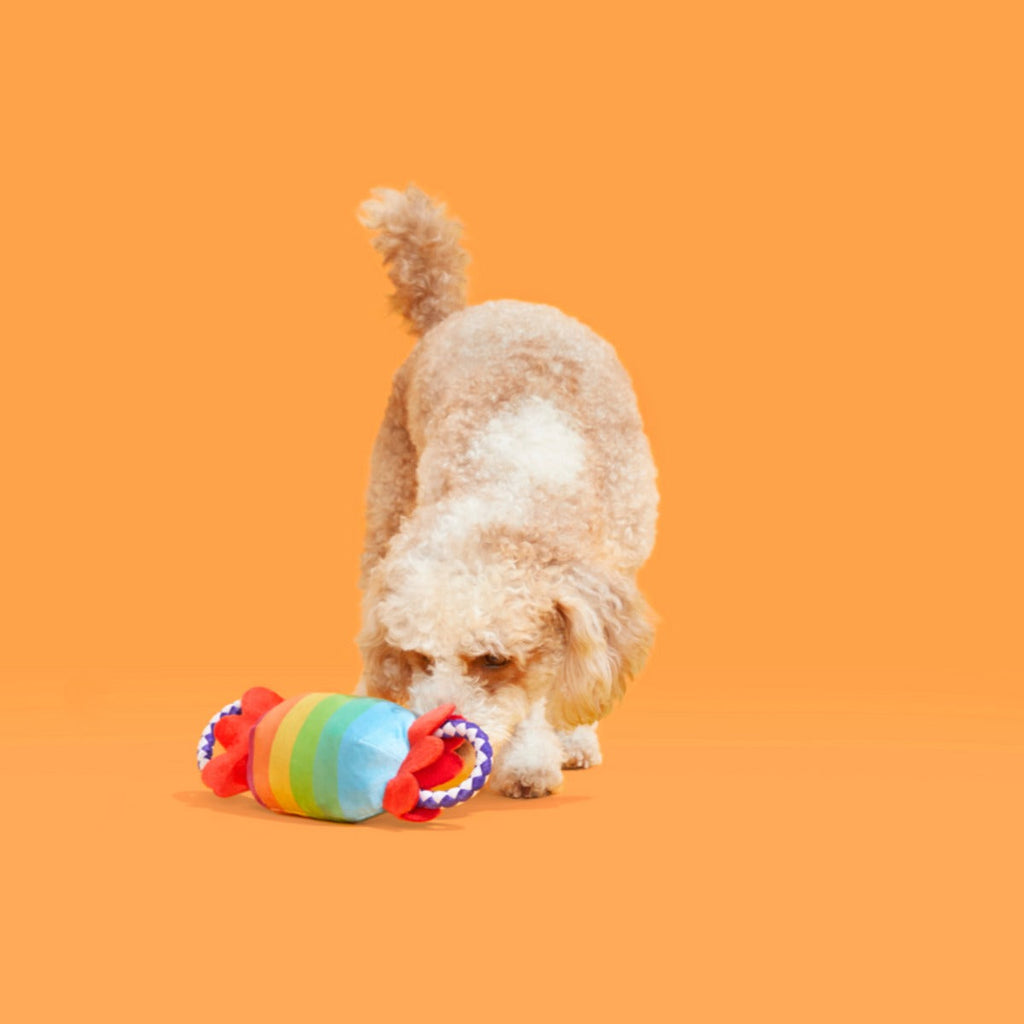 SqueakFarts Candy Plush Tug Dog Toy