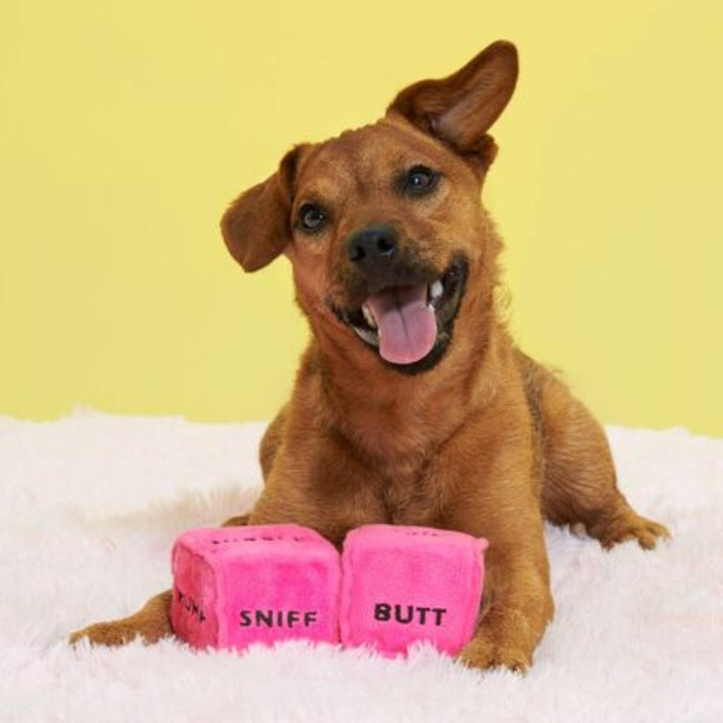 Gnawty Dog Dice Plush Multi-Part Dog Toy