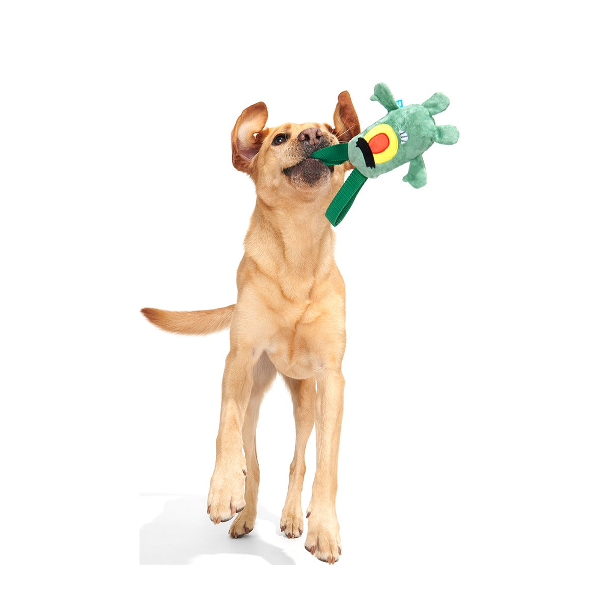Sheldon J. Plankton Plush Tug Dog Toy