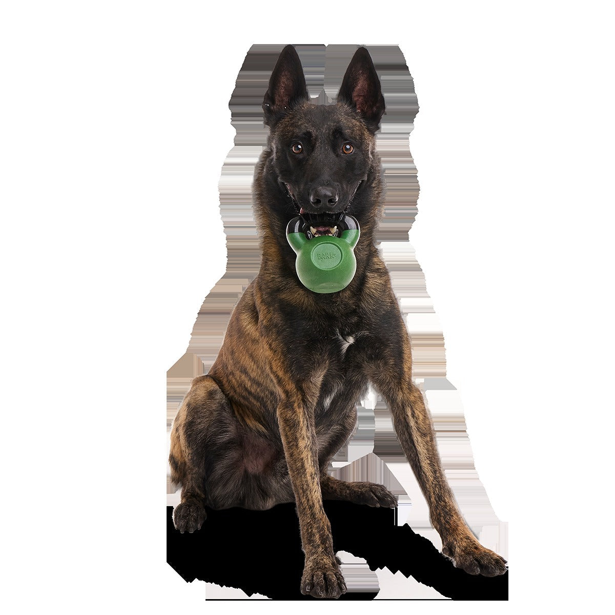 Gnawflex Kettlebell Super Chewer Durable Gnaw Dog Toy