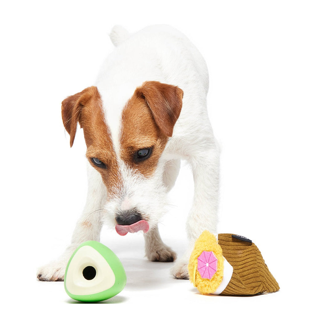 Coco-Mutt Cocktail Super Chewer Durable 2-in-1 + Fetch + Enrichment Dog Toy