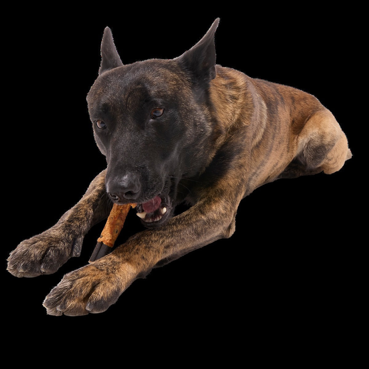 Variety Pack Collagen Dog Chews, 3 Ct