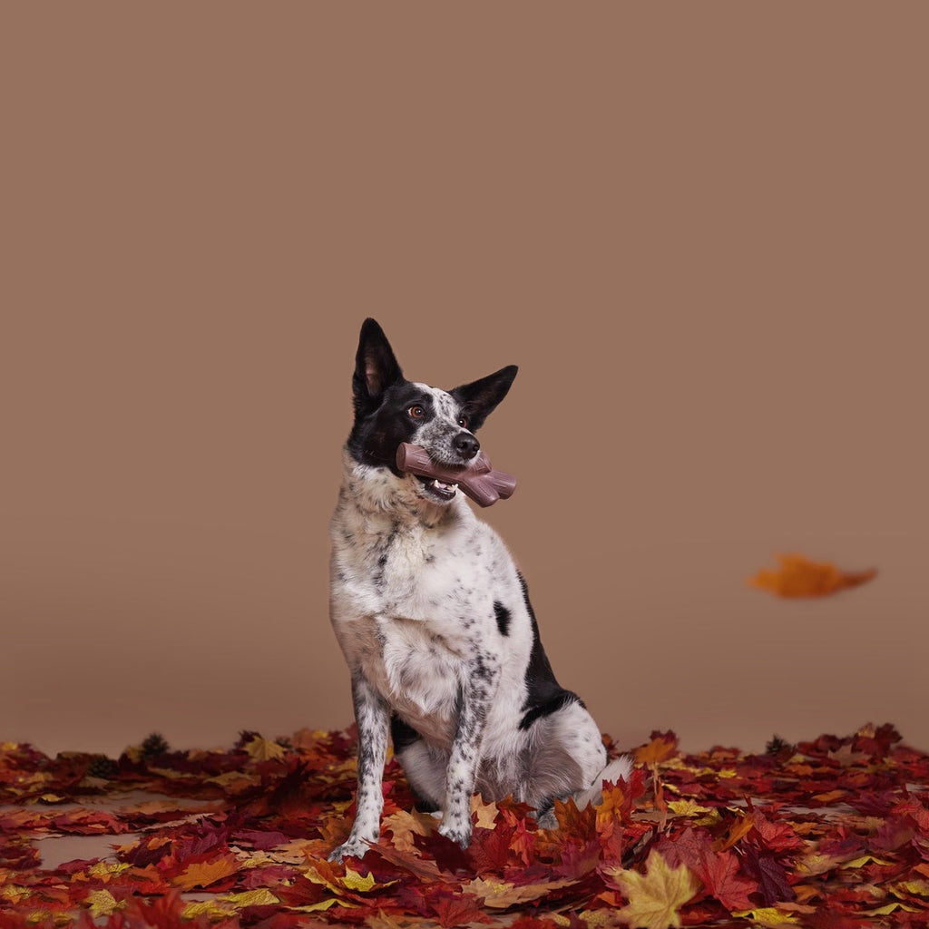 Fall Fetch Stick Super Chewer Durable Gnaw Dog Toy