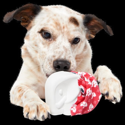 White Smellephant Durable Super Chewer 2-in-1 Rip and Reveal Dog Toy