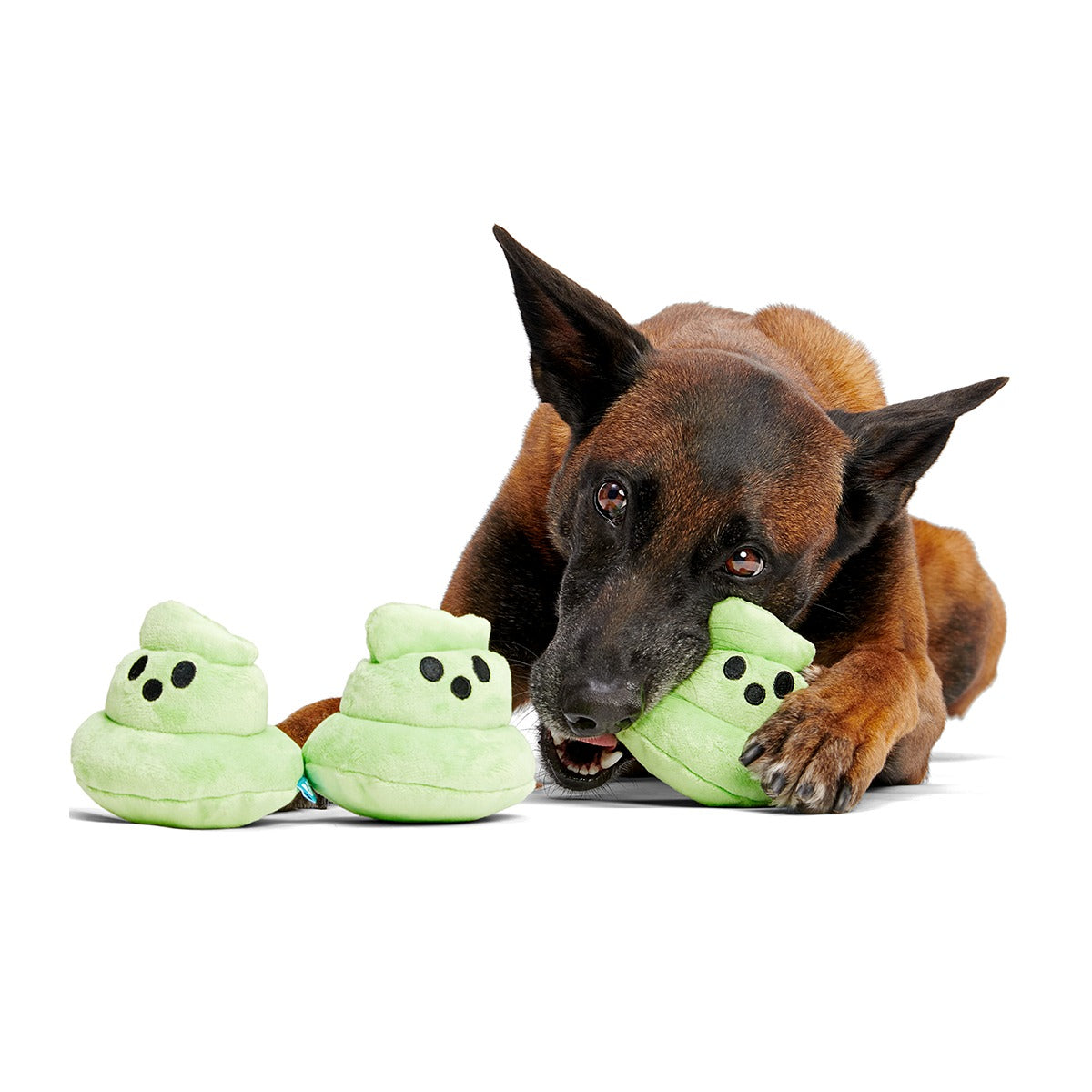 Spoopy Poopies Plush Multi-Part Dog Toy