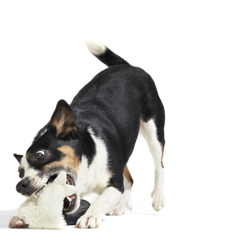 Seal Meal Super Chewer Durable 2-in-1 + Enrichment Dog Toy