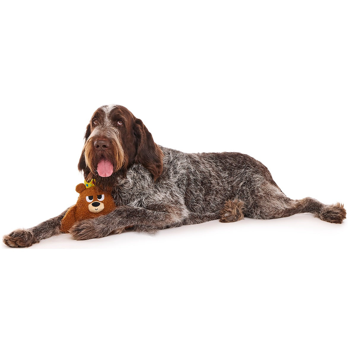 King Bearthur Plush Tug Dog Toy