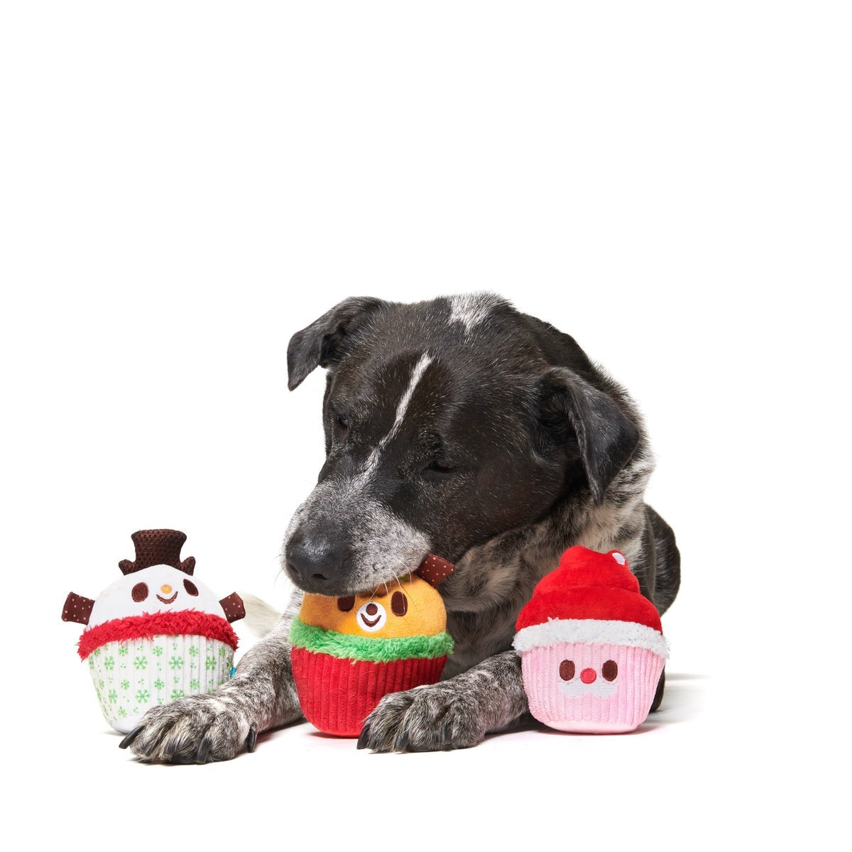Merry Cupcakes Plush Multi-Part Dog Toy