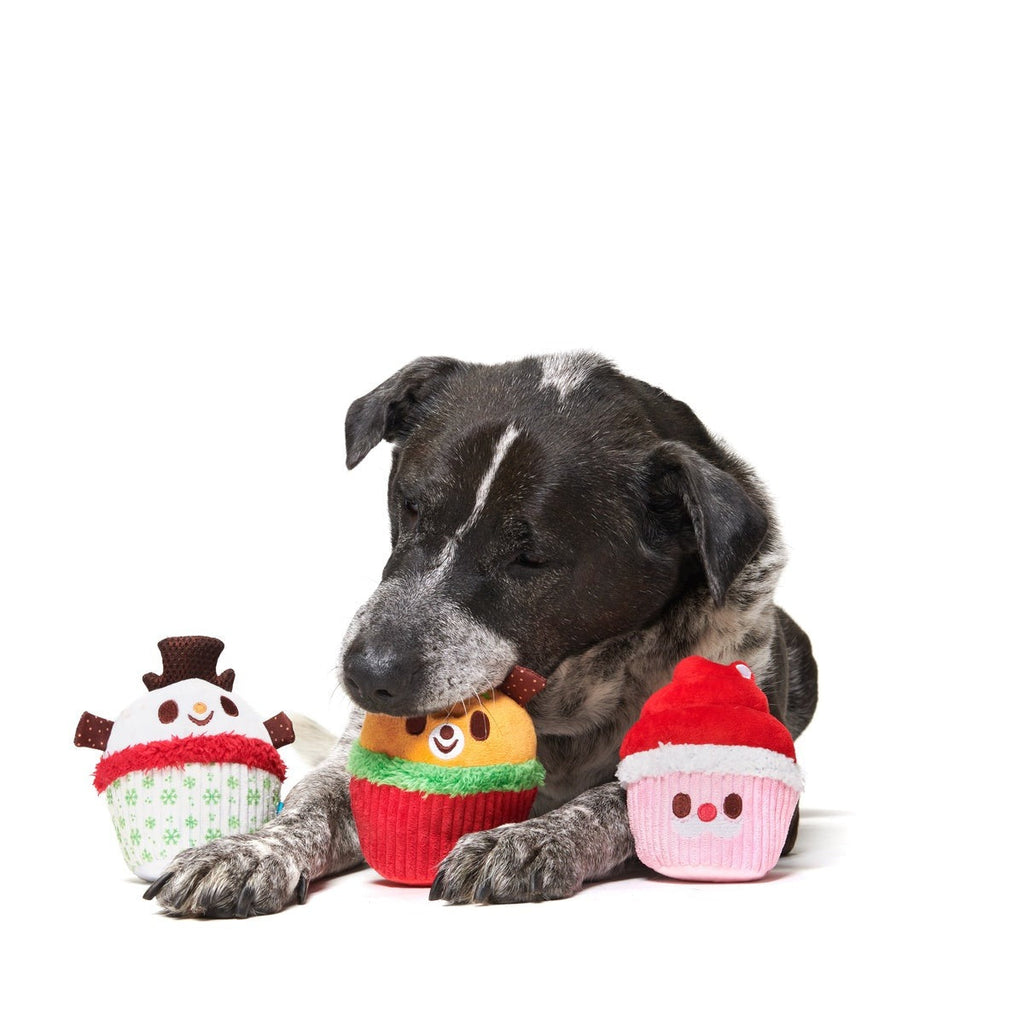 Merry Cupcakes Plush Multi-Part Dog Toy