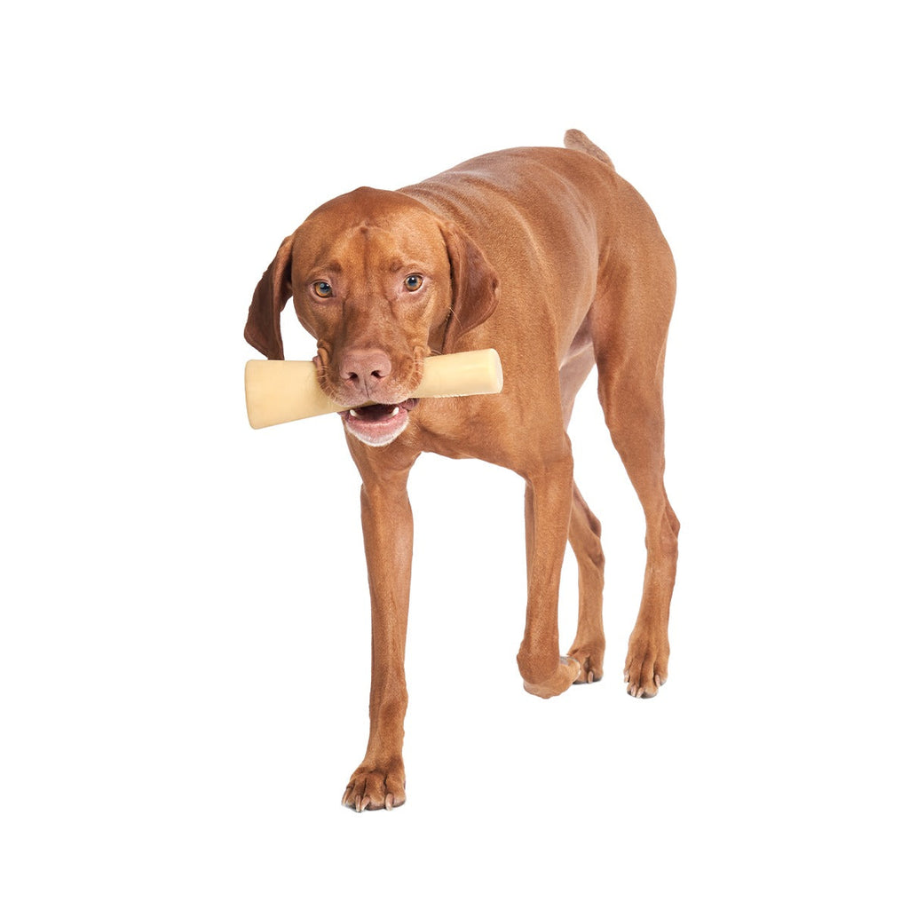 Mighty Bone Bacon Super Chewer Durable Gnaw Dog Toy
