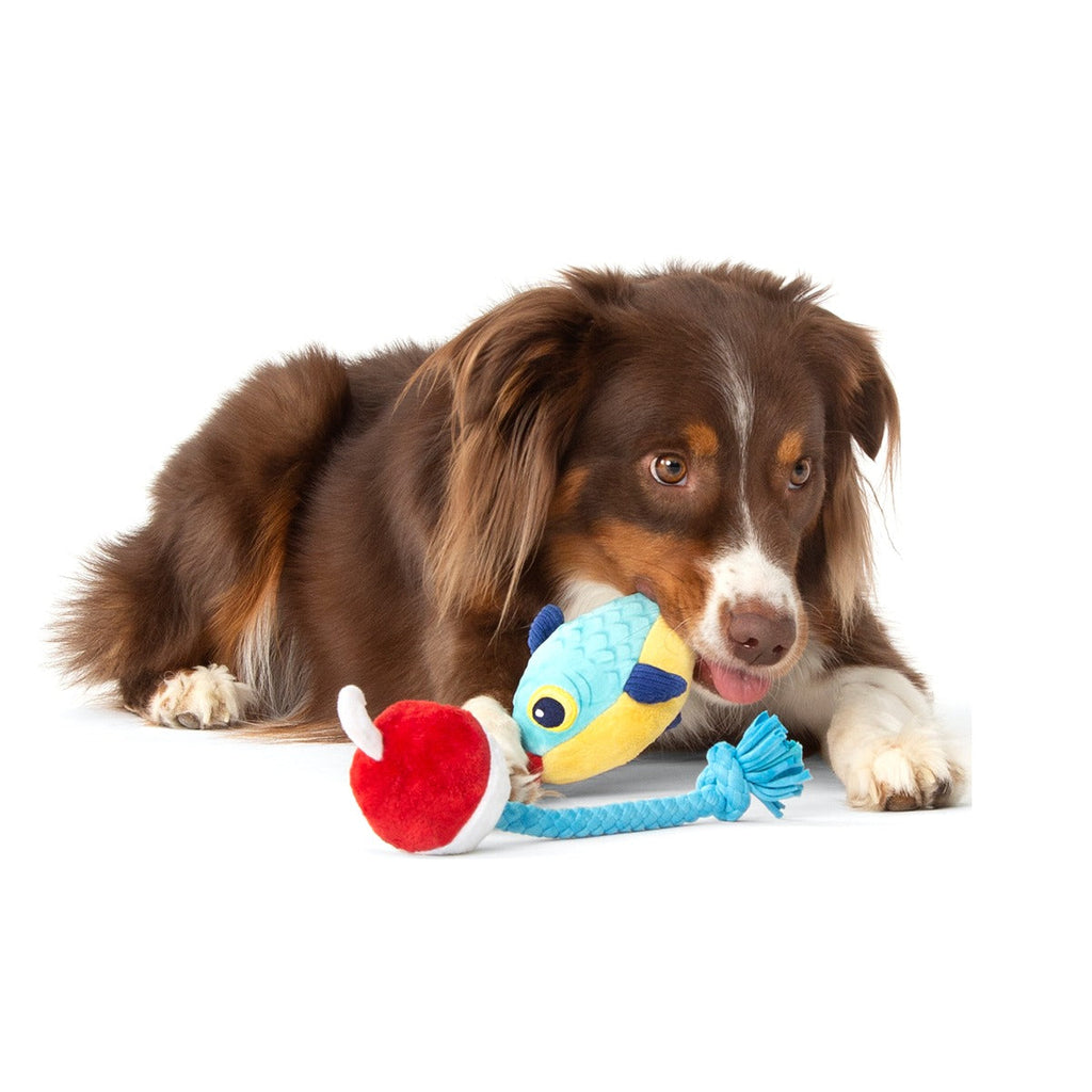 Hook Line and Squeaker Plush Multi-Part + Tug Dog Toy