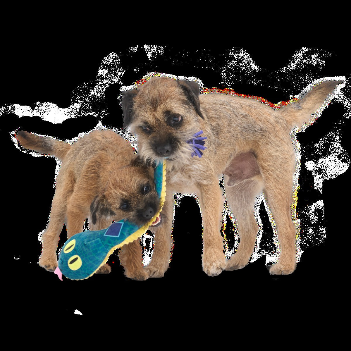 Bea The Titanoboa Plush Tug Dog Toy