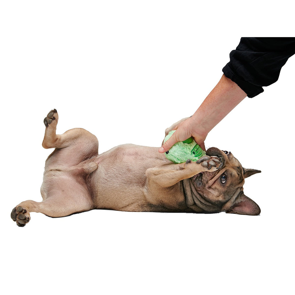 Jolly Green Ice Beast Super Chewer Durable 2-in-1 Dog Toy
