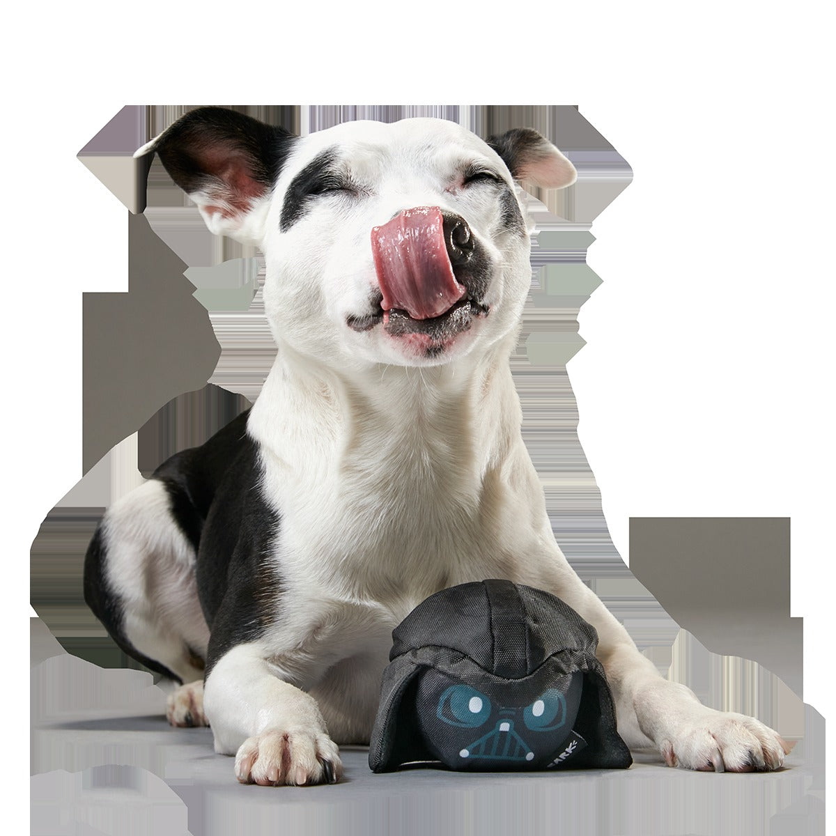 Power of the Bark Side Super Chewer Durable 2-in-1 + Fetch Dog Toy