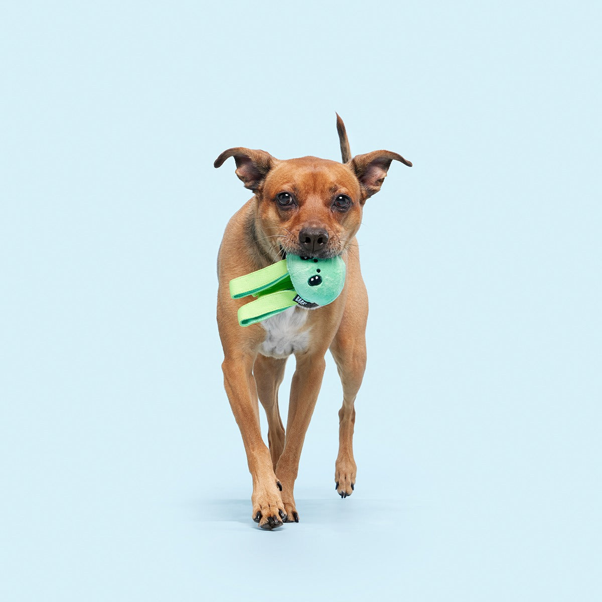 Galactopus Super Chewer Durable 2-in-1 + Tug Dog Toy