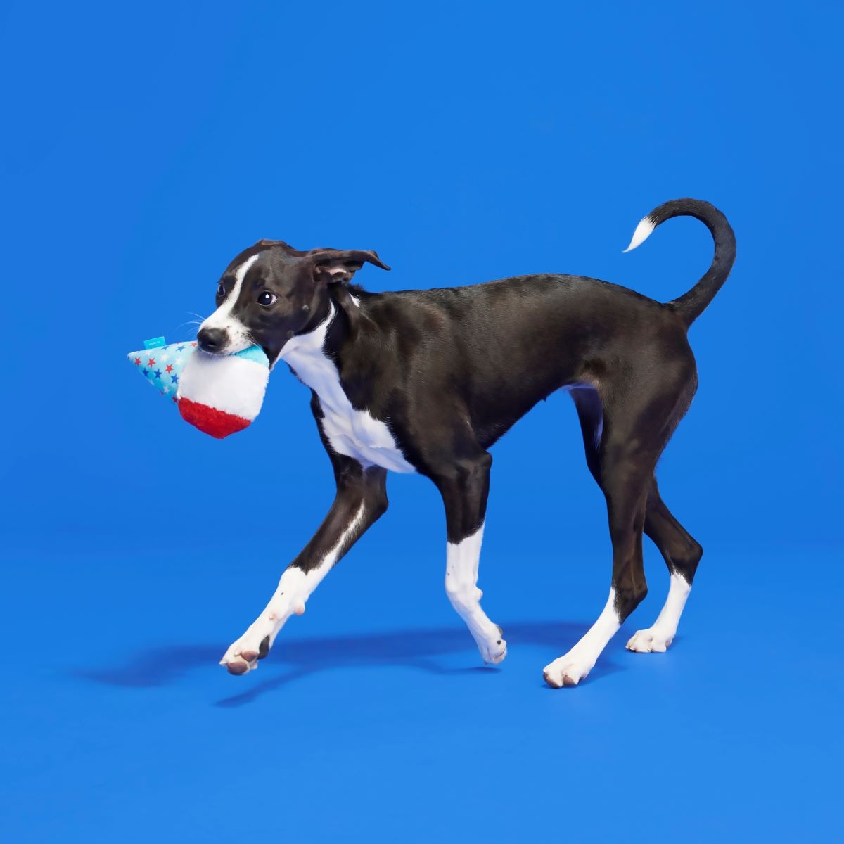 Liberty Cone Plush Dog Toy