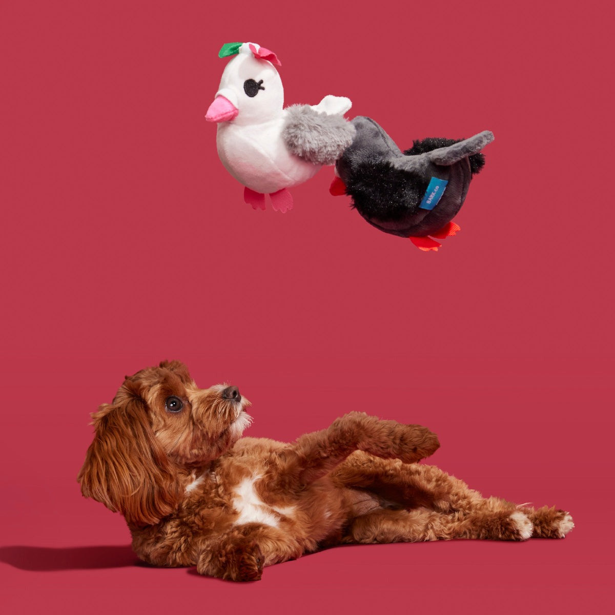 Coo Amore Plush Multi-Part + Tug Dog Toy