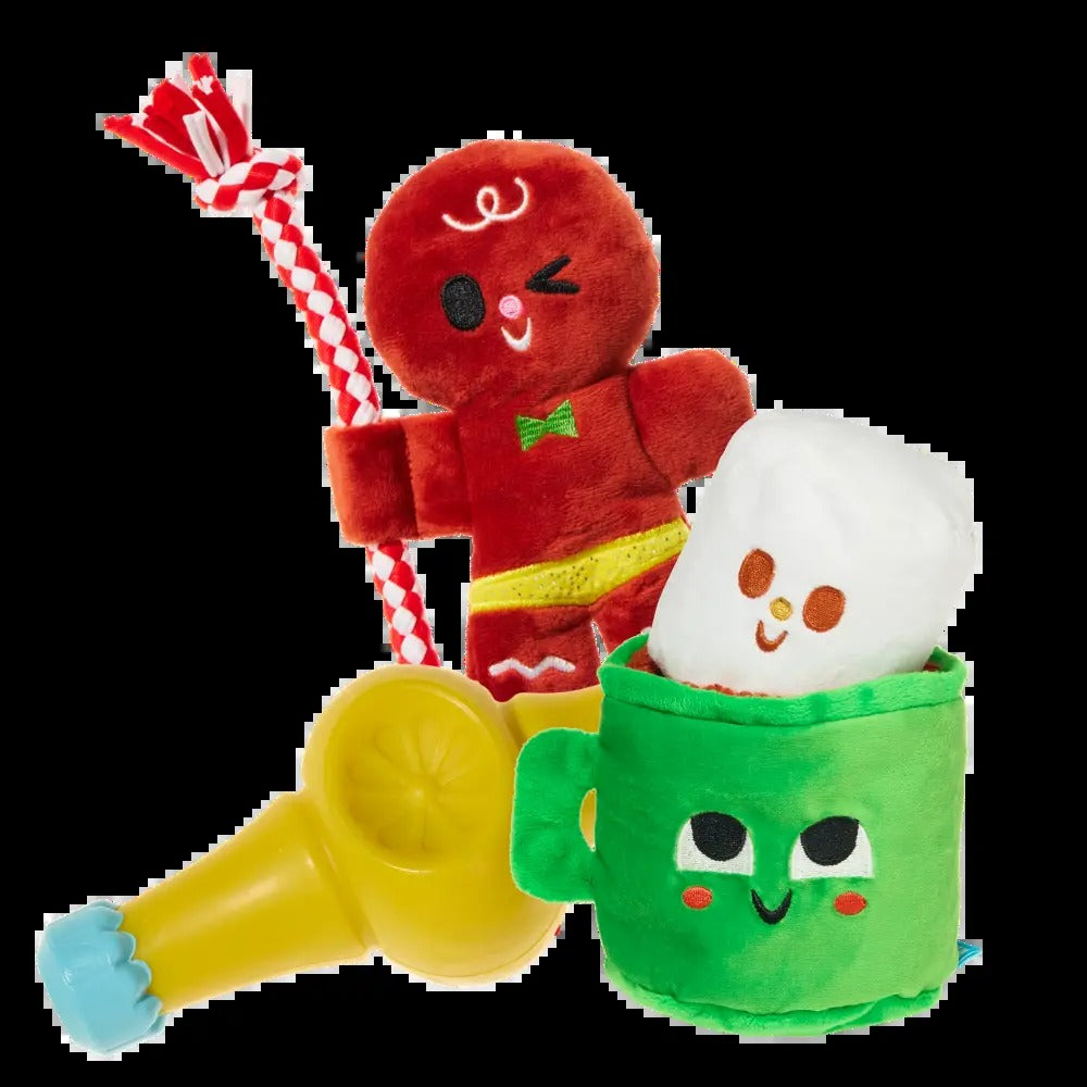 BARK 6 Month Subscription - FREE Extra Toys with Cardboard Box